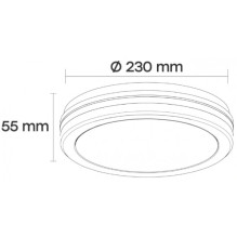 „Visional“ LED vandeniui atsparus šviestuvas 20 W, 3 laipsnių šviesos srauto, 2400 lm, IP65, Ø 230 x 55 mm