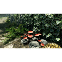 „Bethesda Softworks Elder Scrolls V: Skyrim“ jungiklis