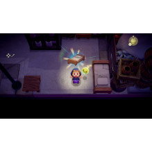 Nintendo Legend of Zelda: Echoes of Wisdom Switch