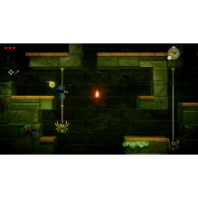 Nintendo Legend of Zelda: Echoes of Wisdom Switch