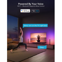 Govee H6046 TV Light Bars 45-70