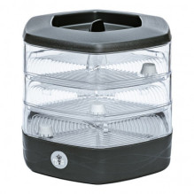 Werner Greens sprouting...