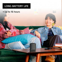 Sony SRS-XB100 Black