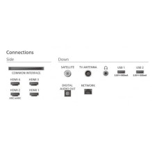 „Philips 48OLED770“ / 12