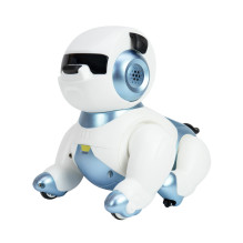 Interactive intelligent robot PNI Robo Dog