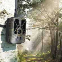 Hunting camera PNI Hunting 550C Internet 4G LTE, live access and notifications through the Tuya application, rechargeabl Hunting camera PNI Hunting 550C Internet 4G LTE, live access and notifications through the Tuya application, rechargeabl