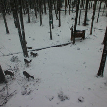Hunting camera PNI Hunting 400C 12MP with 4G LTE Internet, GPS, transmit video and photo simultaneously to phone, 4 emai Hunting camera PNI Hunting 400C 12MP with 4G LTE Internet, GPS, transmit video and photo simultaneously to phone, 4 emai