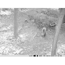 Hunting camera PNI Hunting 400C 12MP with 4G LTE Internet, GPS, transmit video and photo simultaneously to phone, 4 emai Hunting camera PNI Hunting 400C 12MP with 4G LTE Internet, GPS, transmit video and photo simultaneously to phone, 4 emai