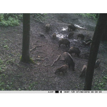 Hunting camera PNI Hunting 400C 12MP with 4G LTE Internet, GPS, transmit video and photo simultaneously to phone, 4 emai Hunting camera PNI Hunting 400C 12MP with 4G LTE Internet, GPS, transmit video and photo simultaneously to phone, 4 emai