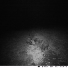Hunting camera PNI Hunting 400C 12MP with 4G LTE Internet, GPS, transmit video and photo simultaneously to phone, 4 emai Hunting camera PNI Hunting 400C 12MP with 4G LTE Internet, GPS, transmit video and photo simultaneously to phone, 4 emai