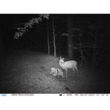 Hunting camera PNI Hunting 400C 12MP with 4G LTE Internet, GPS, transmit video and photo simultaneously to phone, 4 emai Hunting camera PNI Hunting 400C 12MP with 4G LTE Internet, GPS, transmit video and photo simultaneously to phone, 4 emai