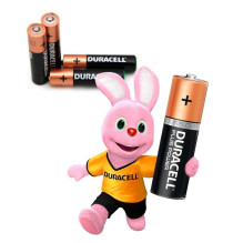 Duracell Alkaline AAA or R3 alkaline 81483686 18bc blister