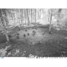 Hunting Camera PNI Hunting 350C 12MP with 3G Internet, SMS, send photo on the move on the phone, email, FTP, full HD 108 Hunting Camera PNI Hunting 350C 12MP with 3G Internet, SMS, send photo on the move on the phone, email, FTP, full HD 108