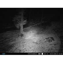 PNI Hunting 400C PRO 24MP hunting camera with 4G LTE Internet, GPS, simultaneously transmits video and photo to the phon PNI Hunting 400C PRO 24MP hunting camera with 4G LTE Internet, GPS, simultaneously transmits video and photo to the phon