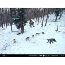 PNI Hunting 400C PRO 24MP hunting camera with 4G LTE Internet, GPS, simultaneously transmits video and photo to the phon PNI Hunting 400C PRO 24MP hunting camera with 4G LTE Internet, GPS, simultaneously transmits video and photo to the phon