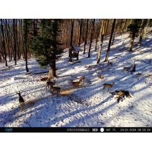 PNI Hunting 400C PRO 24MP hunting camera with 4G LTE Internet, GPS, simultaneously transmits video and photo to the phon PNI Hunting 400C PRO 24MP hunting camera with 4G LTE Internet, GPS, simultaneously transmits video and photo to the phon