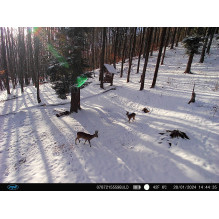 PNI Hunting 400C PRO 24MP hunting camera with 4G LTE Internet, GPS, simultaneously transmits video and photo to the phon PNI Hunting 400C PRO 24MP hunting camera with 4G LTE Internet, GPS, simultaneously transmits video and photo to the phon