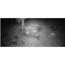 PNI Hunting 400C PRO 24MP hunting camera with 4G LTE Internet, GPS, simultaneously transmits video and photo to the phon PNI Hunting 400C PRO 24MP hunting camera with 4G LTE Internet, GPS, simultaneously transmits video and photo to the phon