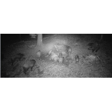 PNI Hunting 400C PRO 24MP medžioklės kamera su 4G LTE internetu, GPS, vienu metu perduoda vaizdo įrašus ir nuotraukas į PNI Hunting 400C PRO 24MP medžioklės kamera su 4G LTE internetu, GPS, vienu metu perduoda vaizdo įrašus ir nuotraukas į