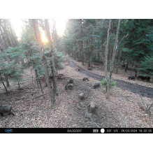 PNI Hunting 400C PRO 24MP medžioklės kamera su 4G LTE internetu, GPS, vienu metu perduoda vaizdo įrašus ir nuotraukas į PNI Hunting 400C PRO 24MP medžioklės kamera su 4G LTE internetu, GPS, vienu metu perduoda vaizdo įrašus ir nuotraukas į