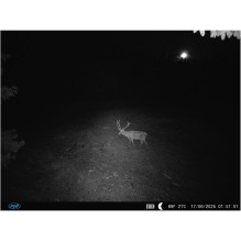 PNI Hunting 400C PRO 24MP hunting camera with 4G LTE Internet, GPS, simultaneously transmits video and photo to the phon PNI Hunting 400C PRO 24MP hunting camera with 4G LTE Internet, GPS, simultaneously transmits video and photo to the phon
