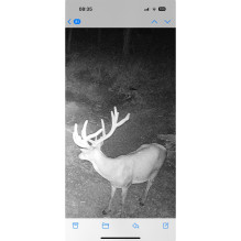 PNI Hunting 400C PRO 24MP hunting camera with 4G LTE Internet, GPS, simultaneously transmits video and photo to the phon PNI Hunting 400C PRO 24MP hunting camera with 4G LTE Internet, GPS, simultaneously transmits video and photo to the phon