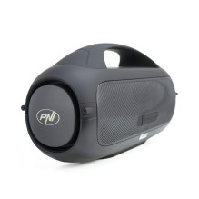 Nešiojama kolonėlė PNI FunBox BT600 su „Bluetooth“, 65 W, MP3 grotuvu, kortelių skaitytuvu, USB, belaidžiu mikrofonu, 44