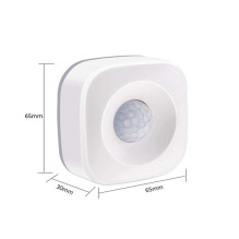 PNI SafeHome PT02 WiFi intelligent motion detector, Tuya Smart mobile application, integration in scenarios and smart au