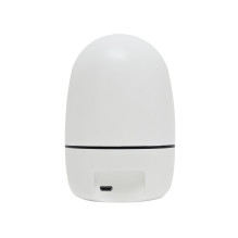 Video surveillance camera PNI IP7717