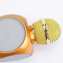 Riff WS-1816 16W karaoke BT microphone with LED 360 Gold