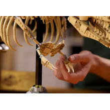 LEGO JURASSIC WORLD 76968 Dinosaur Fossils: Tyrannosaurus rex