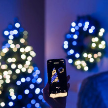Žvilgantis iš anksto apšviestas vainikas 50 RGB LED žalias laidas C tipo kištukas