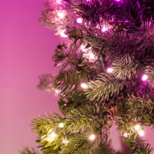 Žvilgantis iš anksto apšviestas vainikas 50 RGB LED žalias laidas C tipo kištukas