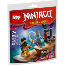 LEGO 30700 Arin prieš Drakono mūšį LEGO 30700 Arin prieš Drakono mūšį