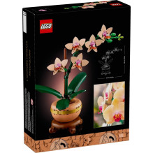 LEGO ICONS 10343 Botanikos kolekcija – Mini orchidėja