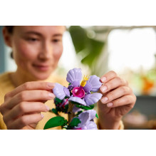 LEGO BOTANICALS 10372 Hibiscus