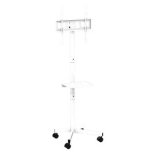 TV SET ACC FLOOR STAND 32-55" / TVS-55T-03-W GEMBIRD
