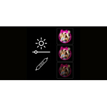 Manta MASNL130PK Style Neon Lights BEAUTY LED Neon Mirror