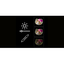 Manta MASNL129WH Style Neon Lights Cat With A Bow LED Neon Mirror