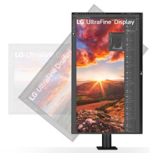 LCD Monitor, LG, 31.5", Panel IPS, 3840x2160, 16:9, 60Hz, 5 ms, Speakers, Swivel, Pivot, Height adjustable, Tilt, C