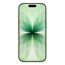 Apple iPhone 17 256GB Sage
