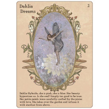 Kortų Rinkinys - Fėjos Seserys 33 Kortų Vadovas 13x10x3.2 cm 285 g