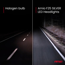 LED car bulbs F25 SILVER FULL CANBUS 58W H4 H19 12V 24V AMIO-04703