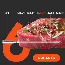 Meatmeet S Pro Kitchen Thermometer with Bluetooth / WiFi App for Grill, Oven, Smoker - Gray