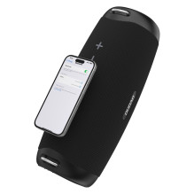 Dudao Y21Pro Wireless Speaker with RGB Backlight Bluetooth 5.3 - Black