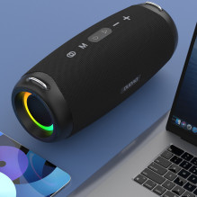Dudao Y21Pro Wireless Speaker with RGB Backlight Bluetooth 5.3 - Black