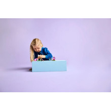 LEGO 42665 Puppy Playground