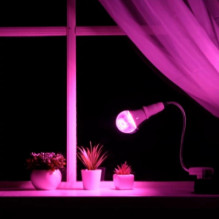 Visional LED Fito lamp E27 for plants and seedlings 12W, 120°, IP20