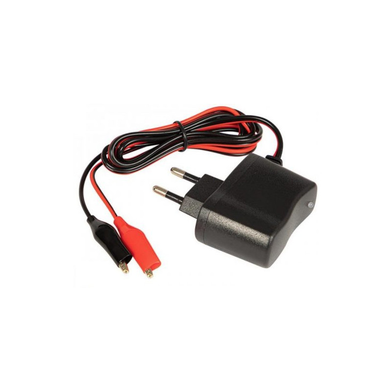 Universal charger for GEL, AGM and lead-acid 6V batteries, 1000mA 83-233