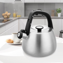 Kettle Maestro MR-1318 2,5 l Silver, Black Kettle Maestro MR-1318 2,5 l Silver, Black